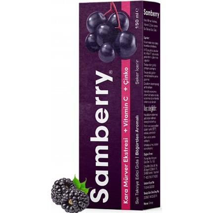 Samberry Kara Mürver Ekstresi + Vitamin C + Çinko 150 Şurup