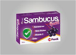 Sambucus Kara Mürver Vitamin C Special Pastil 24 lü