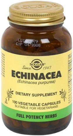 Solgar Echinacea 520 Mg 100 Kapsül