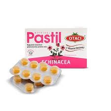 Otacı Ekinezya Pastil 16 Adet