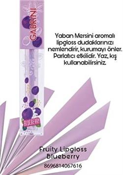 Gabrini Blueberry Fruity Lipgloss