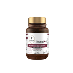PhenoliX-K Multivitamin Propolis Kapsul