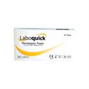 Laboquick Gebelik Testi