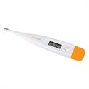 Plusmed PM-101 Dijital Ateş Ölçer
