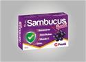 Sambucus Kara Mürver Vitamin C Special Pastil 24 lü