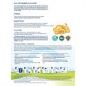 Hipp 1 Organik Combiotic Bebek Sütü 800 gr