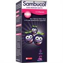 Sambucol Kids Kara Mürver Özütü 120 ml Şurup