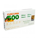 Curcumin 500 Herbal Food Altın Yoğurt Kürü 10 Şase x 6 gr