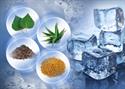 Ayşestetik Selülit Tedavisi Selülit Giderici COLD CELLULITE