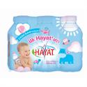 Hayat Bebek Suyu 0.33 Lt 6 Adet